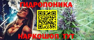 соль ск Краснознаменск