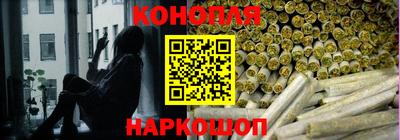 spice Коммунар