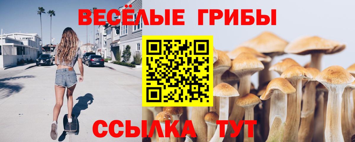 хочу наркоту  Псилоцибиновые грибы мухоморы  Вход с VPN  Елизово 